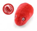 Rabies: GIANTmicrobe