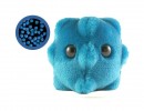 The Common Cold: GIANTmicrobe