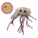E. Coli: GIANTmicrobe