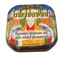 Enlighten Mints